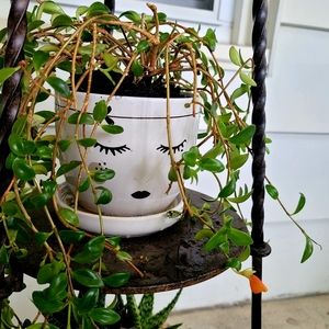 🌈Bookmark my closet🌈